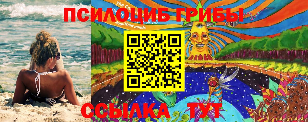 Псилоцибиновые грибы MAGIC MUSHROOMS Серов