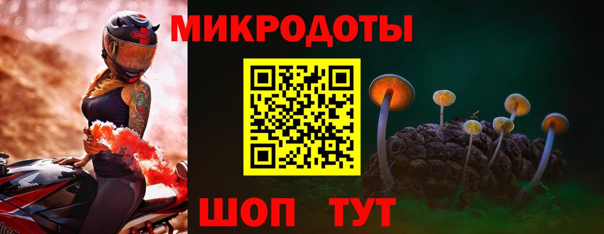 Псилоцибиновые грибы мицелий  Псилоцибиновые грибы Psilocybe  Вход с VPN  Серов 